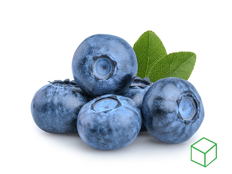 Light-Heidelbeeren 4250 ml